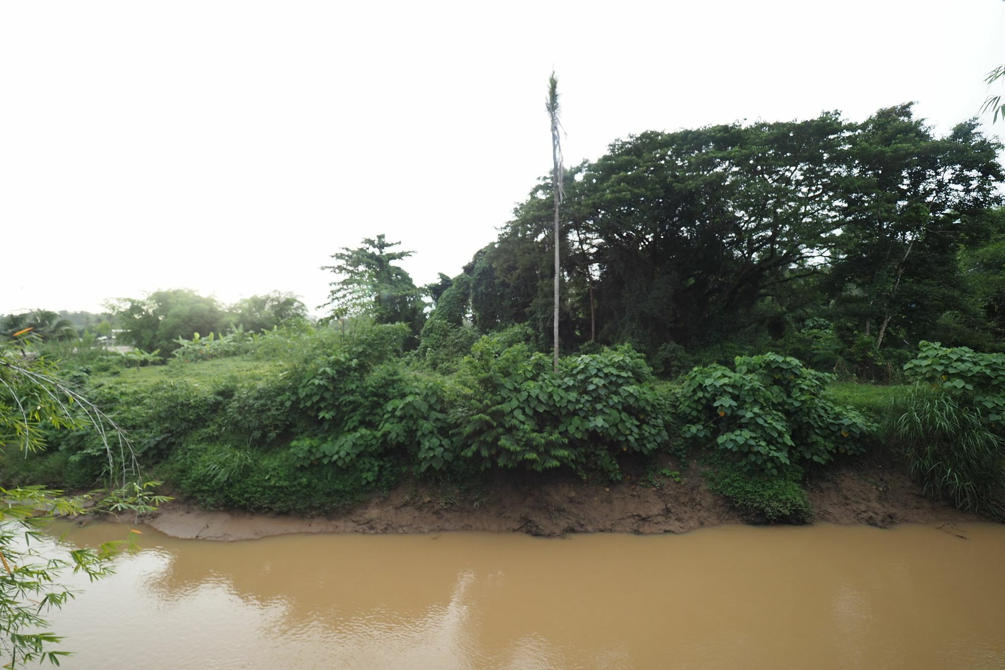 Bann Lhong Rak Pensión